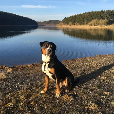 بيت للعطل 204 *